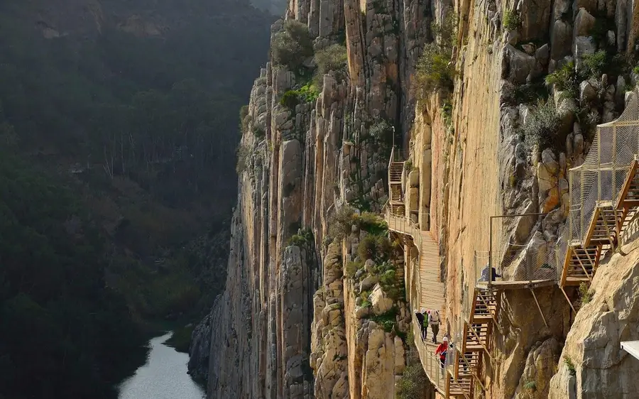 A picnic laid out beside the pine woods near the Caminito del Rey